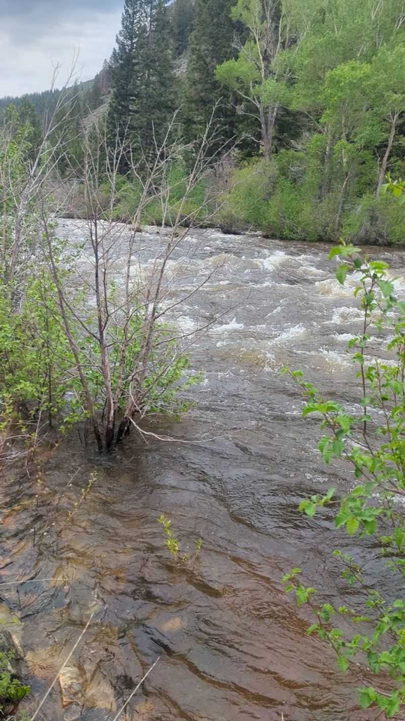 Where The River Carves Its Own Rules
