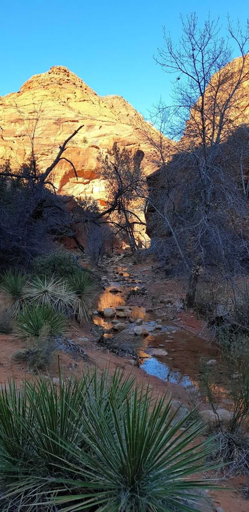 What Makes It Different From Zion