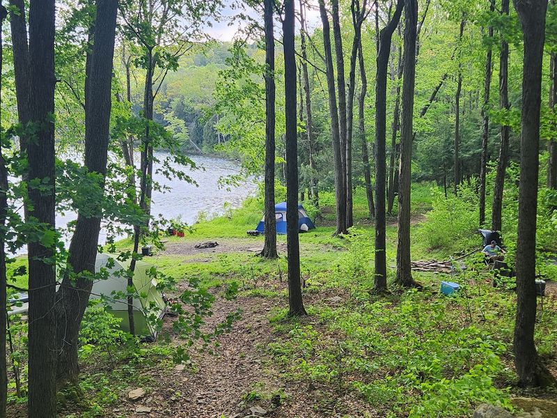 Crystal Lake Wild Forest