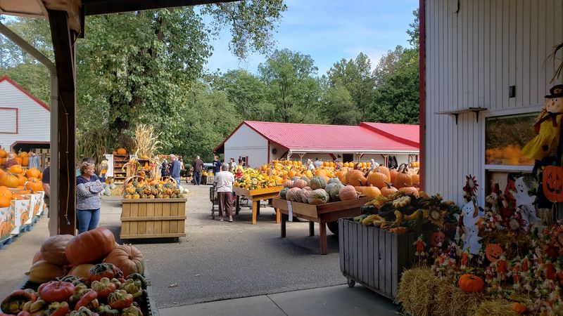 Szalay's Farm & Market