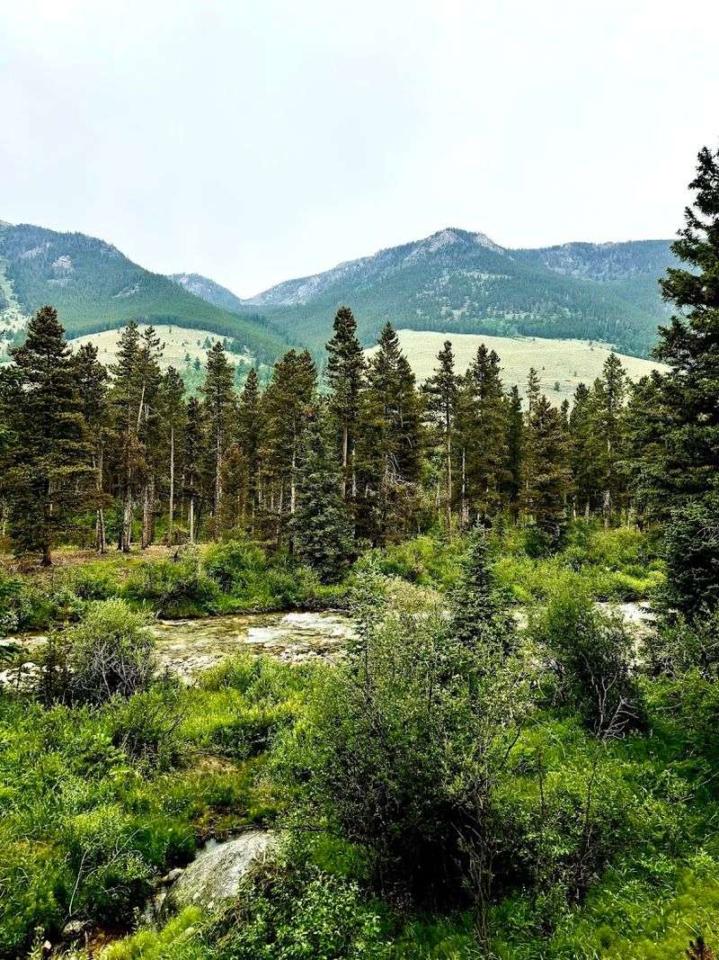 Greenough Lake Campground