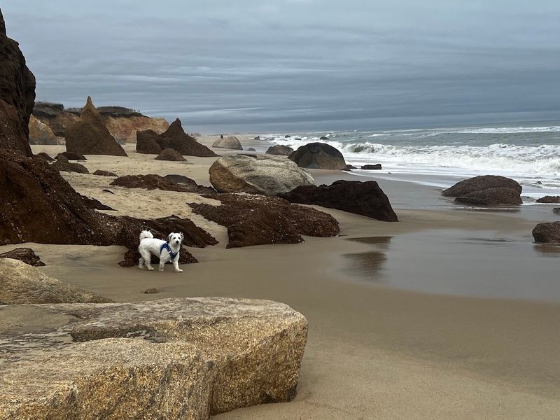 Lucy Vincent Beach, Chilmark