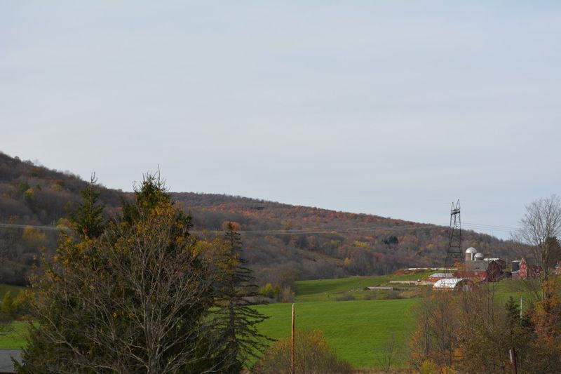 Delaware County Countryside: The Setting Steals The Show
