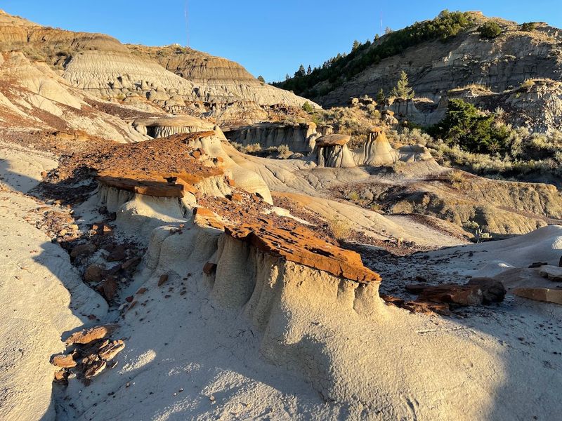 Dinosaur Country Unlike Anywhere Else