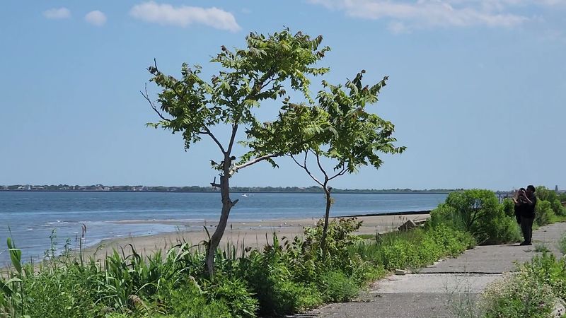 Floyd Bennett Field