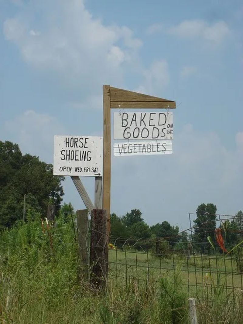 Amish Community On Salmon Road