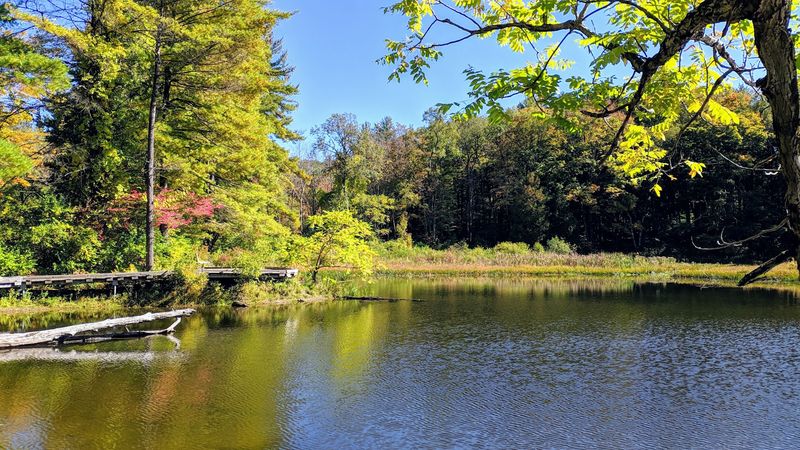 Mass Audubon's Pleasant Valley Wildlife Sanctuary, Lenox