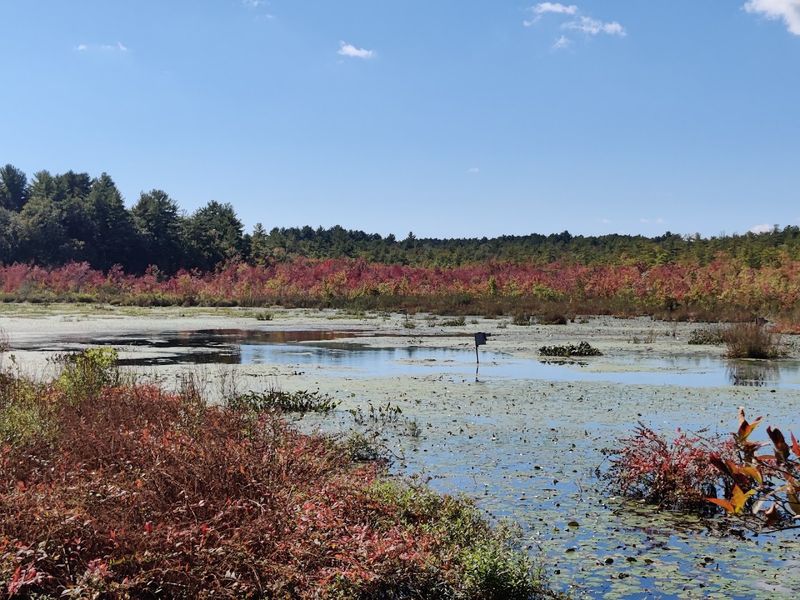 Mass Audubon's Stony Brook Wildlife Sanctuary, Norfolk