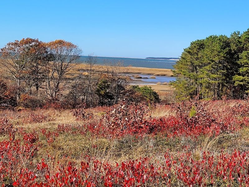 Mass Audubon Wellfleet Bay Wildlife Sanctuary, South Wellfleet