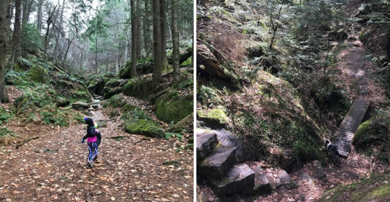 Massachusetts Has Its Own Real-Life Narnia, And It’s Hiding In A Glacial Ravine