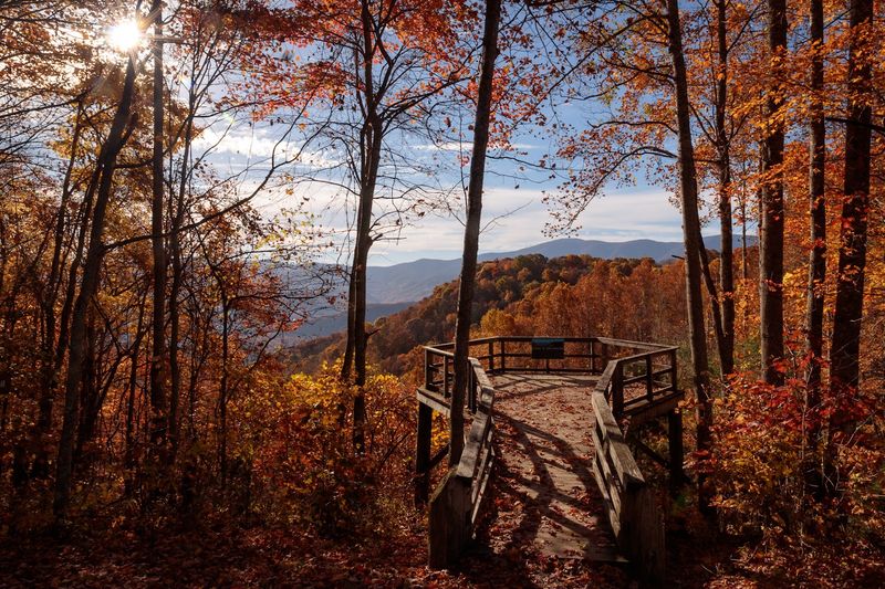 Riverside Trail, Roan Mountain State Park