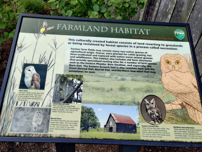 Over 220 Bird Species And The Stories Behind Them