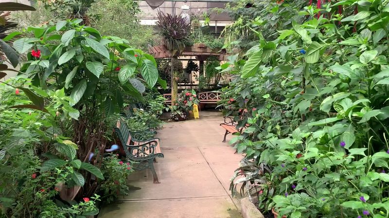 A Tropical Vista For The Eye And Soul