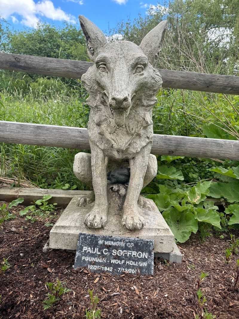 The History Behind The Howl