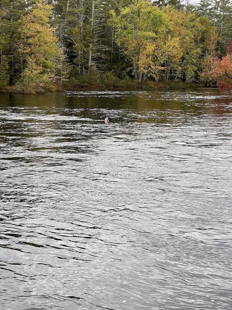 Adirondack Views That Float Right Past You