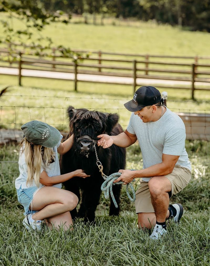 A Family Farm With Roots Running Deep