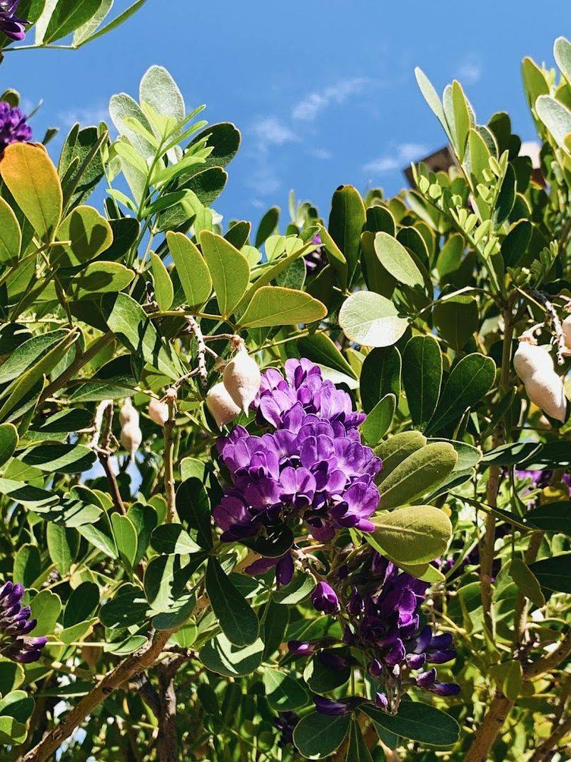 Spring Blooms Change Everything