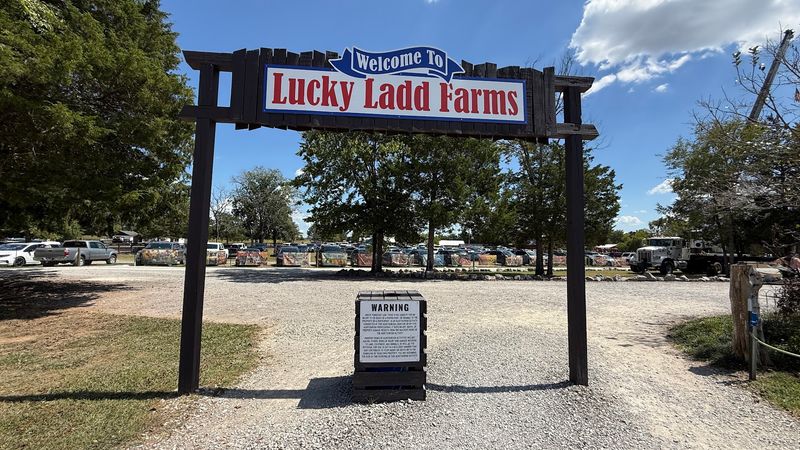 Lucky Ladd Farms, Eagleville