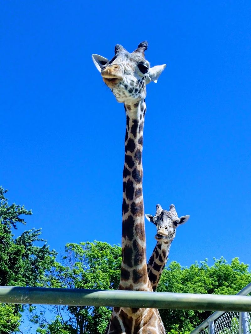Racine Zoo
