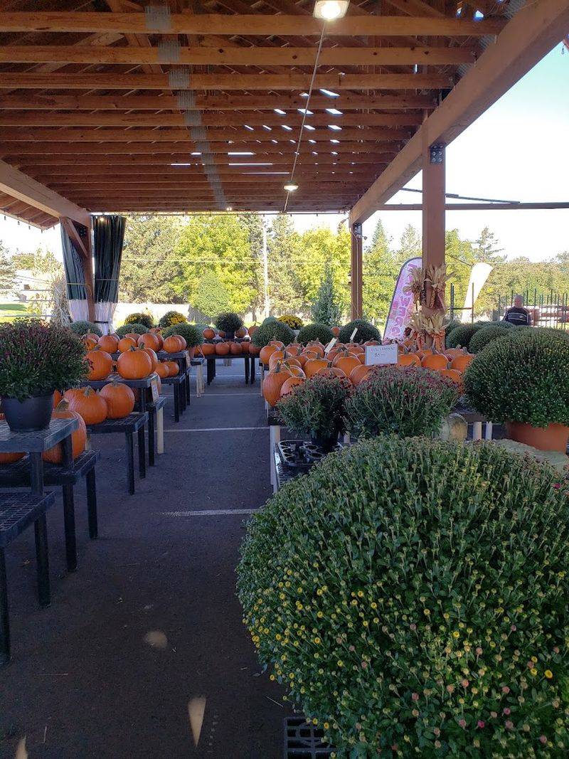 New Berlin Farmers' Market