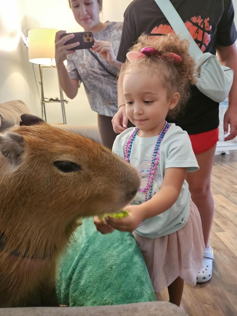 FairyTails Petting Farm, Columbia