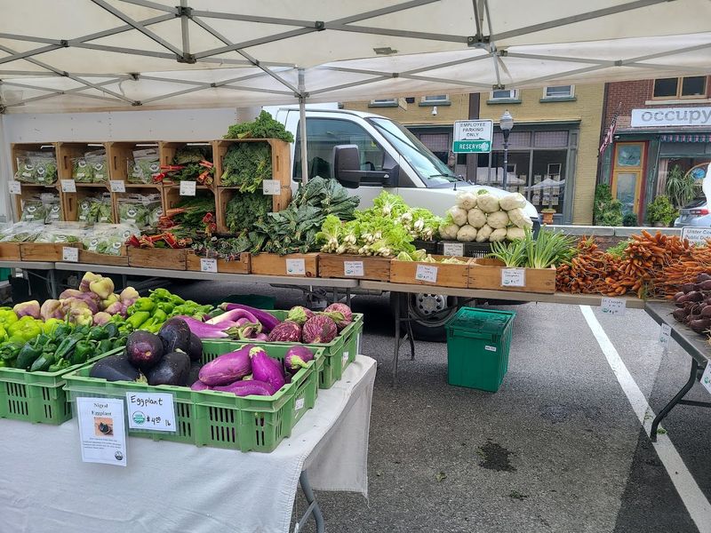 Kingston Farmers Market — Kingston, NY