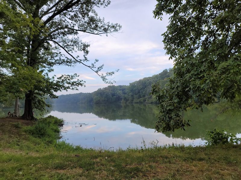 Meeman-Shelby Forest State Park, Millington