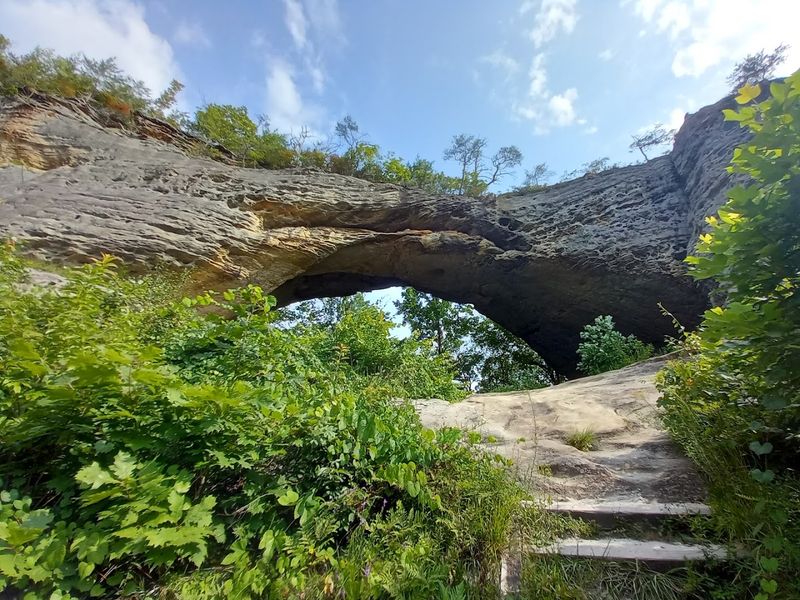 Trails That Wind Through Wild Country