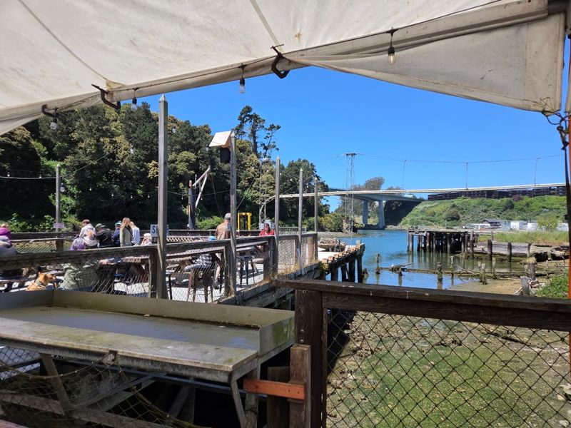 The Harbor View Experience