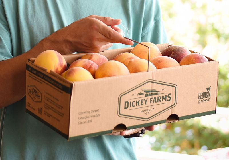 Over 20 Peach Varieties Give Every Visit A Different Flavor