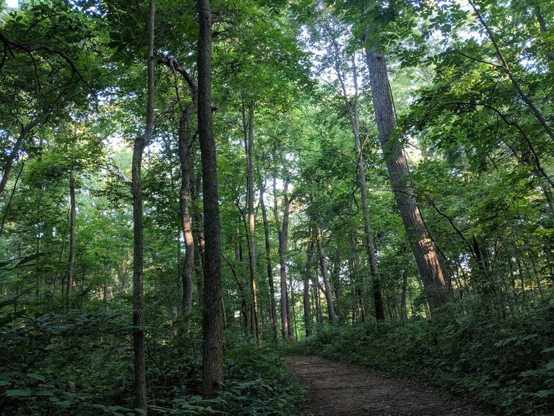 Every Trail Is Rated Easy Or Moderate