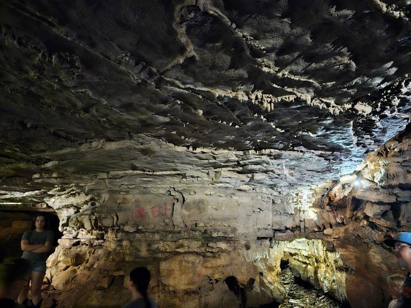 The Enigmatic Roots Of The Name