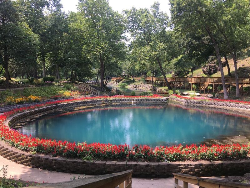 Native Plants Fill The 33-Acre Property
