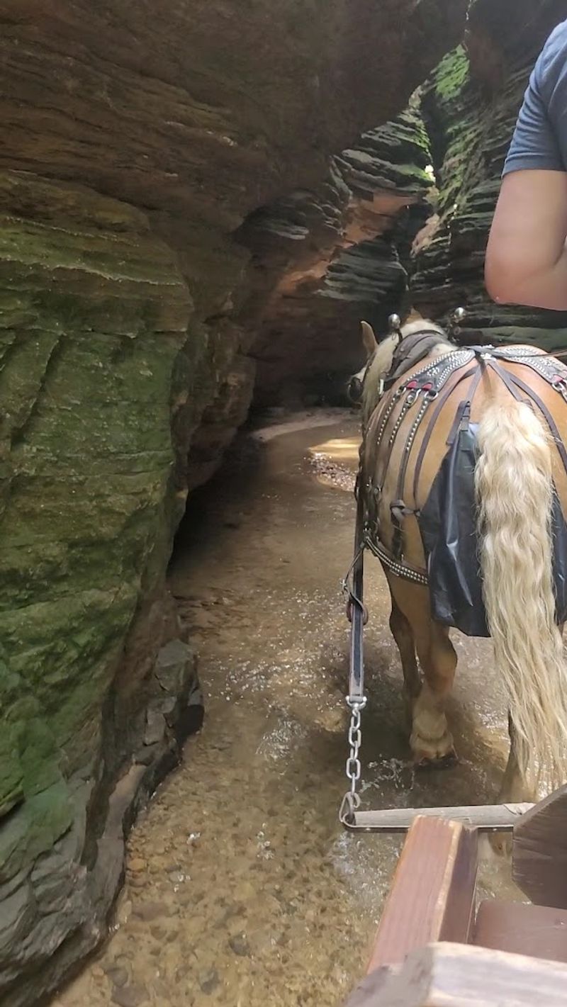 Why This Canyon Adventure Belongs In Your Wisconsin Plans