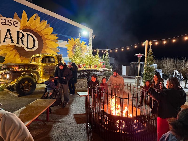 Seasonal Events That Keep Visitors Coming Back