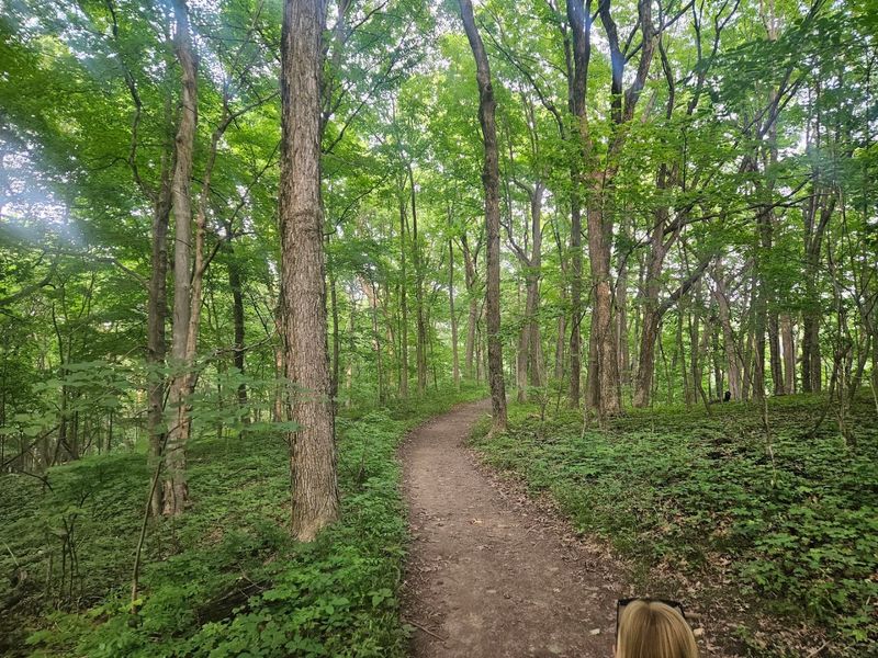 Trail Options For Every Fitness Level And Interest