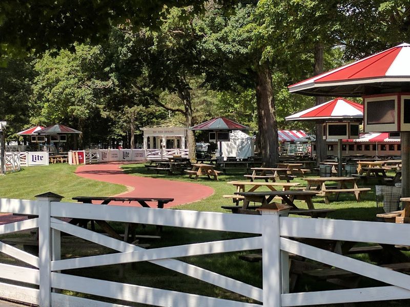 The Big Red Spring And The Backyard Picnic Tradition