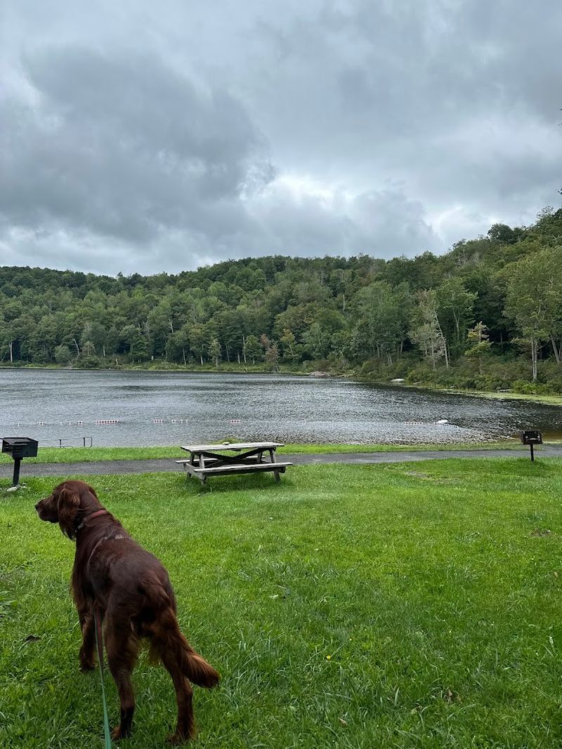 North Pond