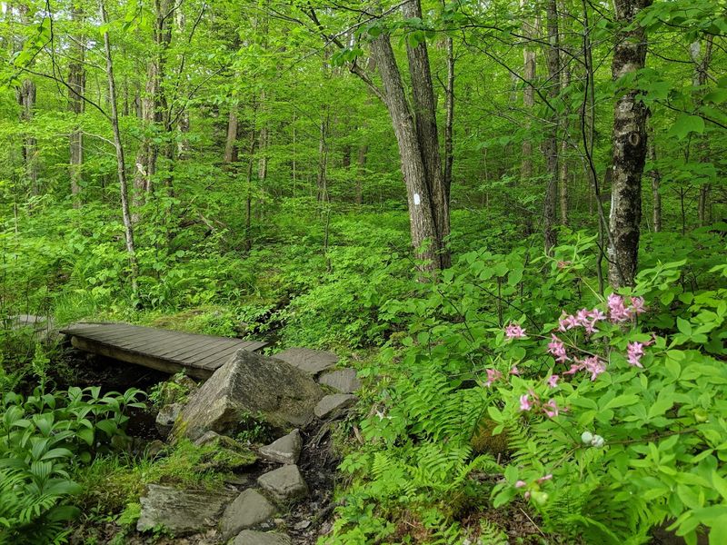 Central Berkshire County Mountain Forests, Berkshire County