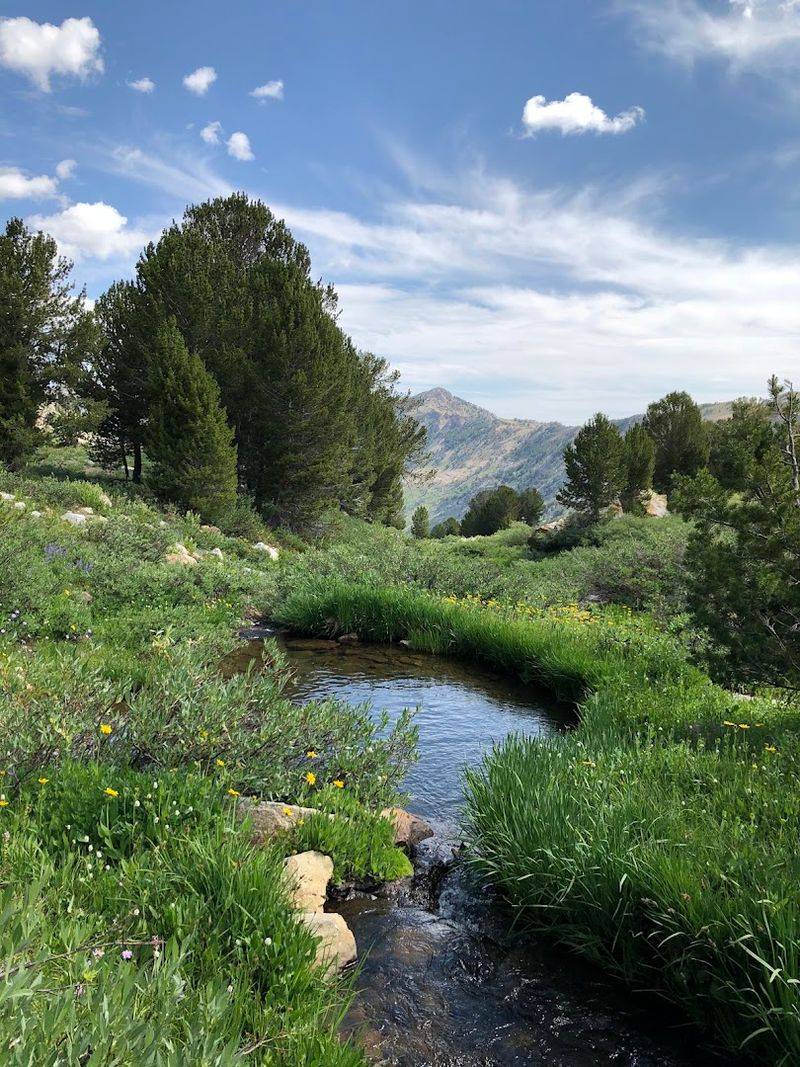 Alpine Lakes Reward Hikers Beyond The Scenic Drive
