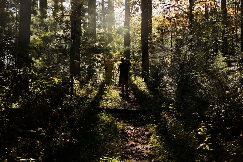 Quiet Trails Across 33 Acres Of Genuine Wilderness