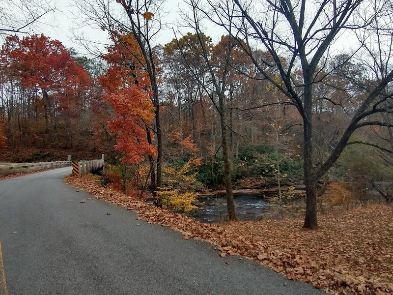Ideal Seasons For Taking The Drive