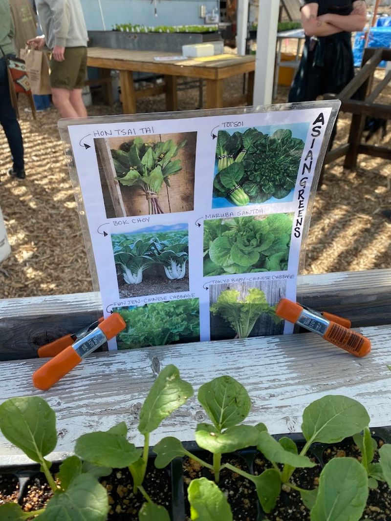 Fresh Starts For Every Growing Space