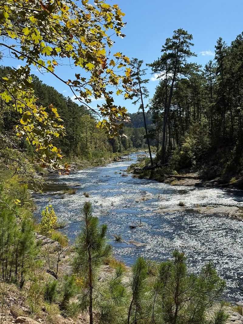 Wildlife Viewing Opportunities