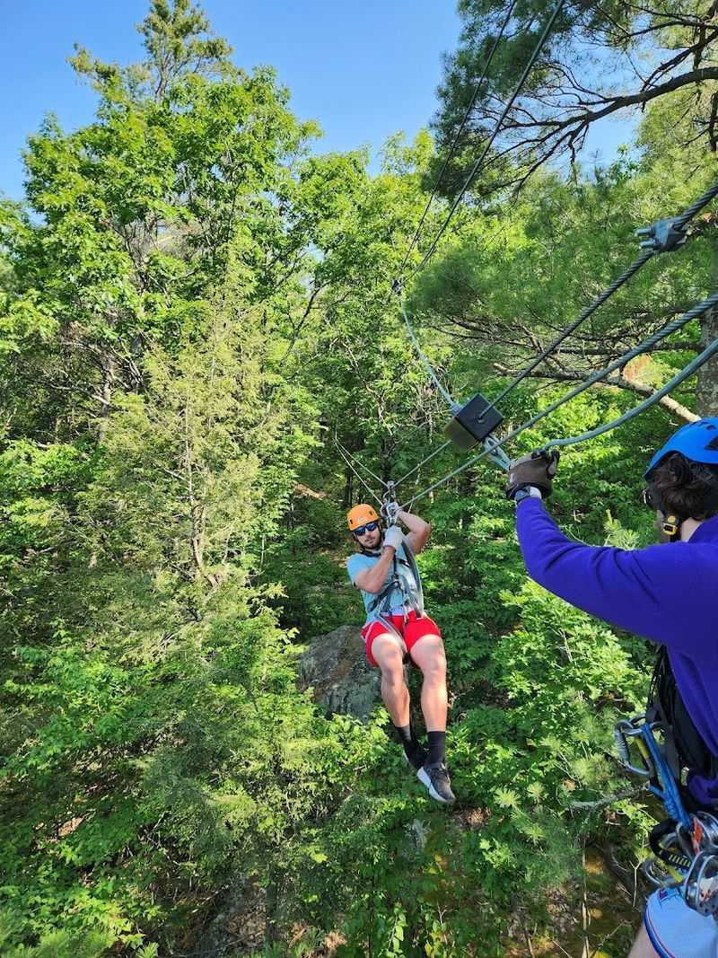 Aerial Journey Among The Trees
