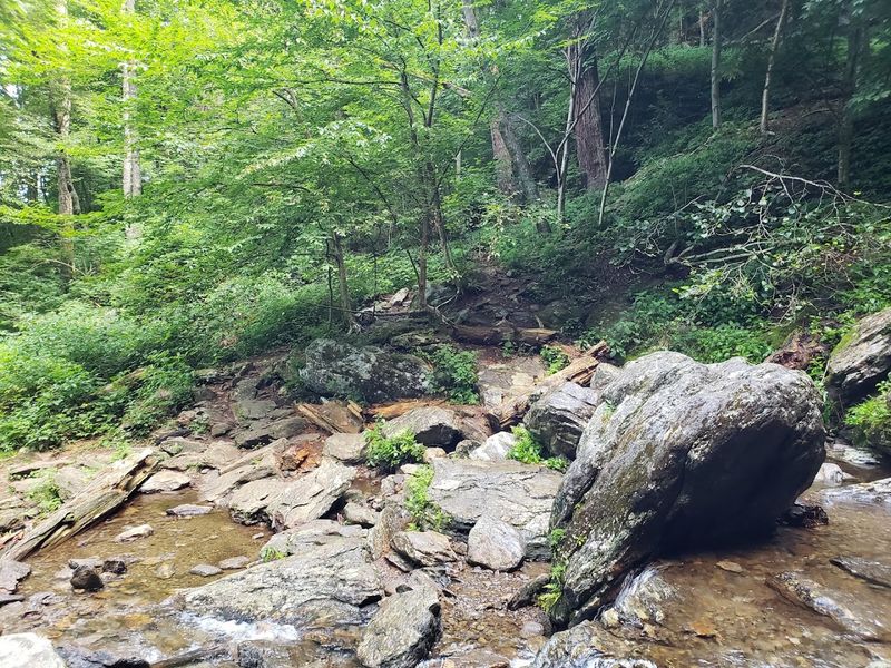 The Craggy Gardens Route For Serious Hikers