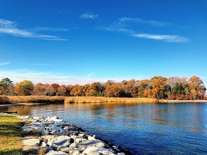 Wildlife And Nature Exploration Opportunities Nearby