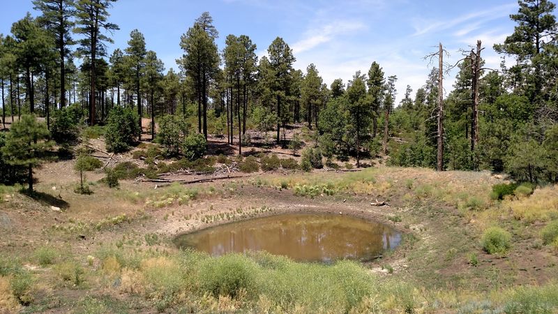 The Cooler Mountain Climate Makes Arizona Summers More Comfortable