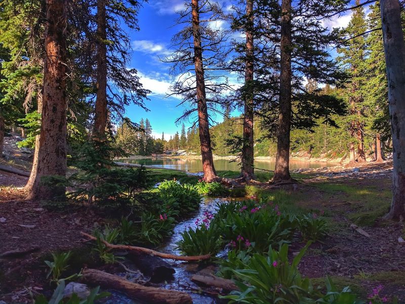 Great Basin National Park