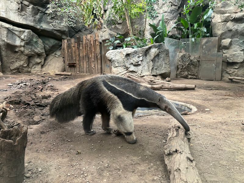 Franklin Park Zoo, Boston